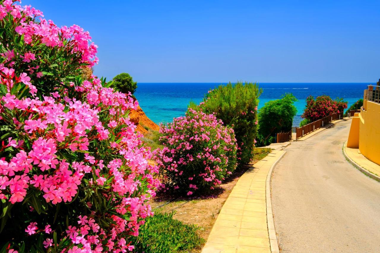 Mileniun Levante Dehesa de Campoamor  외부 사진